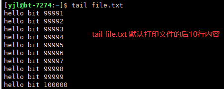 image-20221125143612097