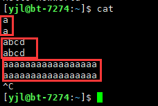 image-20221124221056829