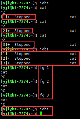 image-20221124221820594